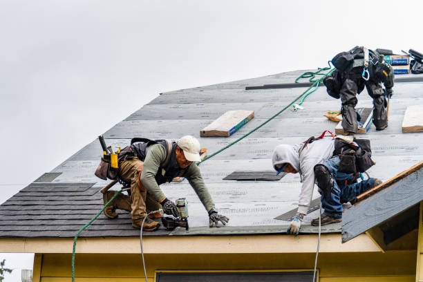Professional Gutter Installation technician working in Lanark, IL